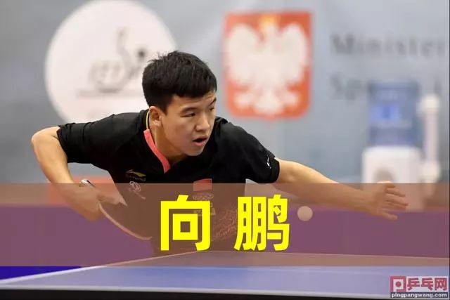 守起伏的问 守起伏的问